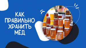 Как правильно хранить мёд