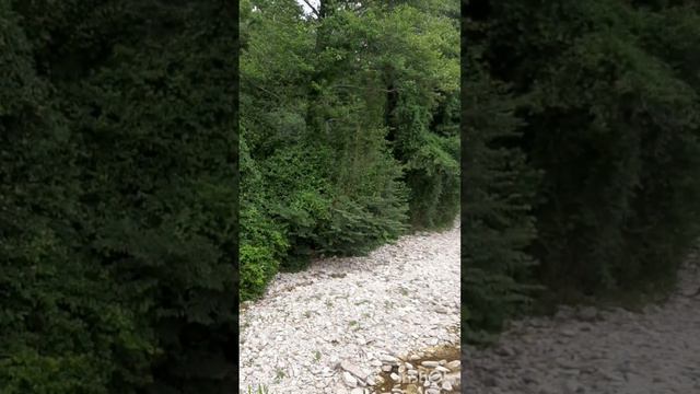 InShot_20240730_092757373.mp4