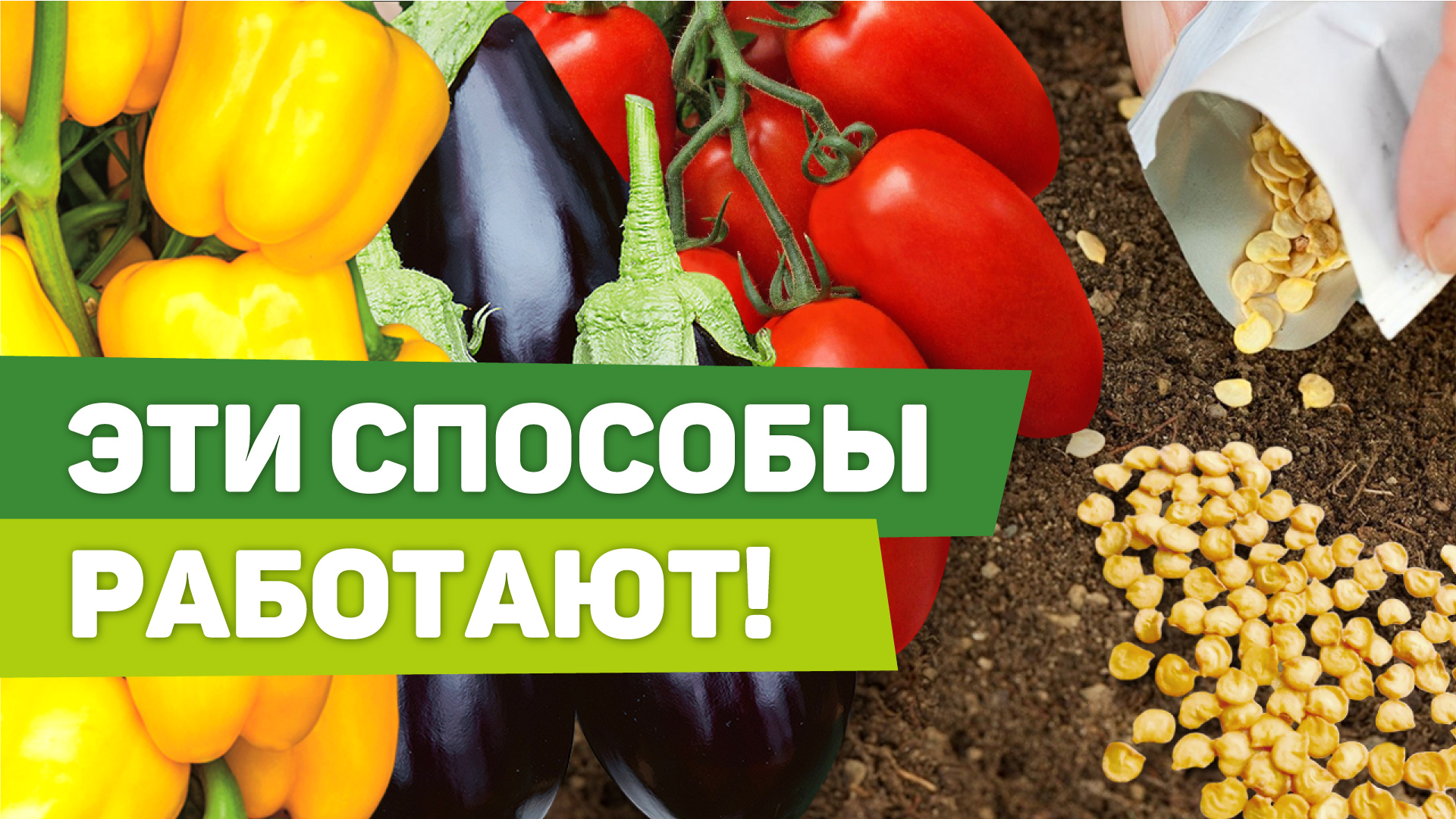 ПРЕДПОСЕВНАЯ ОБРАБОТКА СЕМЯН. Способы, проверенные временем и садоводами смотреть онлайн