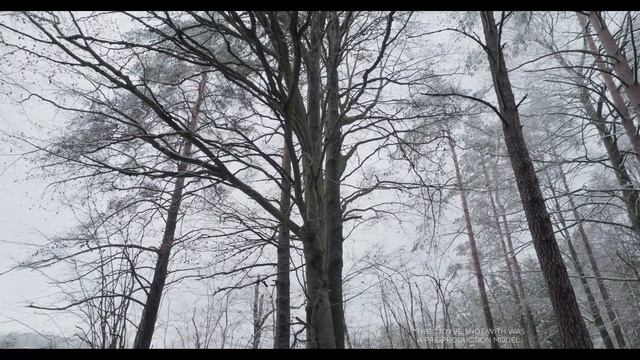 CANON C70 REVIEW // Canon's Best CINEMA CAMERA?