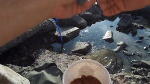 Рыбалка на закате в сентябре Ловля камбалы и пиленгаса с берега Бердянск Азовское море 06 09 2020