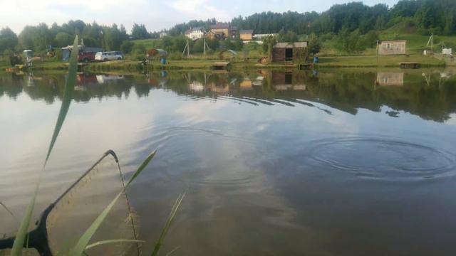 23/05/2018 Стрелецкий Ручей 07:39 утра смотреть онлайн