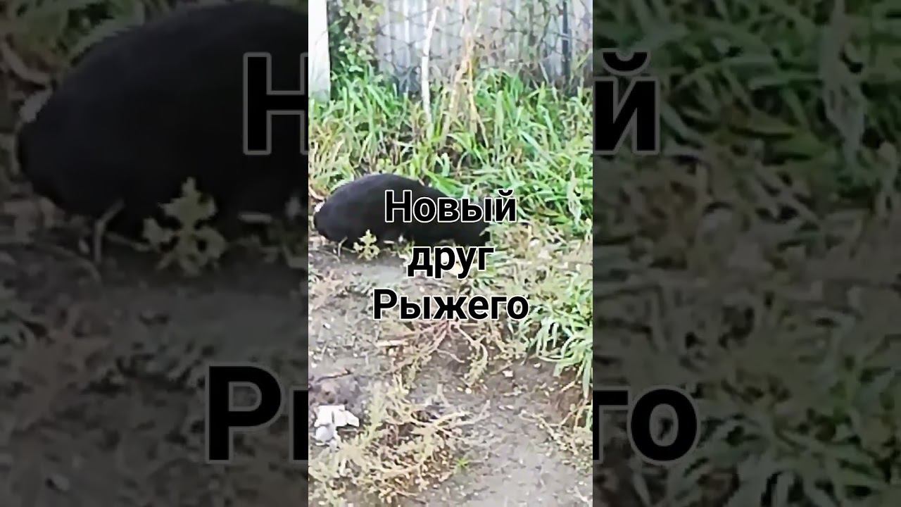 6 октября 2023 г.