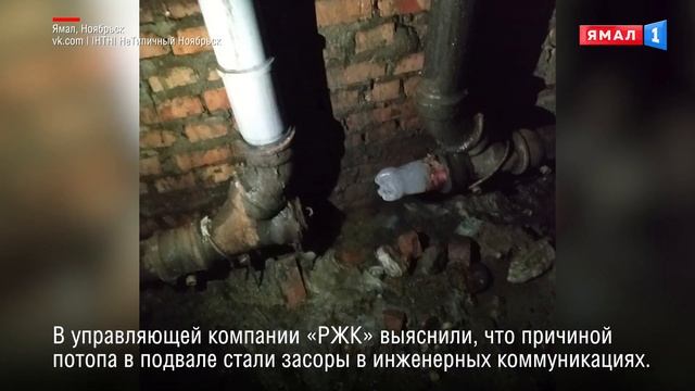 В Ноябрьске затопило подвал жилого дома из-за смытой тряпки в канализацию смотреть онлайн