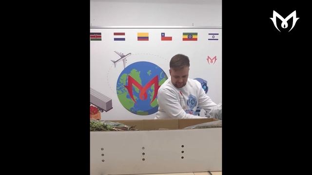 Обзор Эвкалипта от плантации Best Greens смотреть онлайн