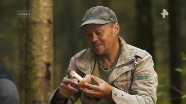 про грибы смотреть онлайн
