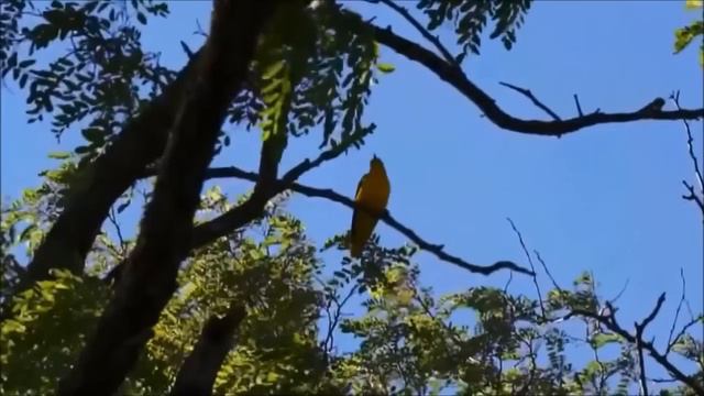 Гр персона и Юрий Хлевной Мальчик я босой смотреть онлайн