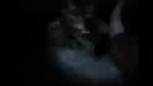 Спелеолог снял в пещере дракона