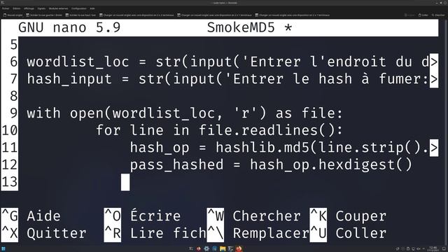 SALTINBANK - PYTHON FOR PENTESTER : Coder un programme qui va cracker les HASH ! смотреть онлайн