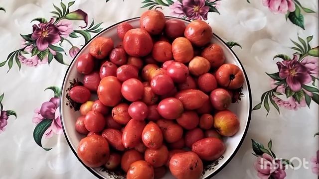 Семья из Казахстана.Сгорел сарай.Пришла зима.Варю томат.