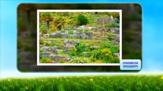 Сады, парки, природа 8 смотреть онлайн