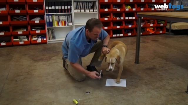 Ruffwear - How to measure Dog Paw Width for Grip Trex shoes смотреть онлайн