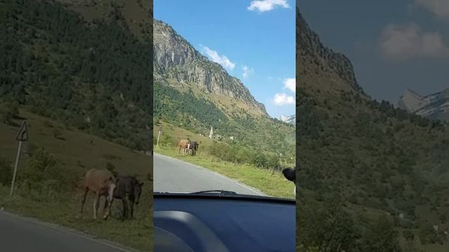 Джейрах самое красивое место #джейрахскийрайон #джейрах #таргим #армхи #горы смотреть онлайн