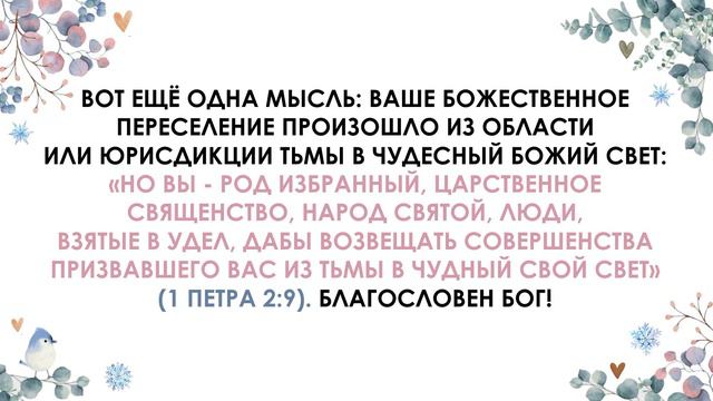 Вас переселили смотреть онлайн