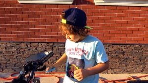 Камиль и Аминка НАШЛИ КОТЯТ! Почему ПАПА НЕ НЕХОЧЕТ их ОСТАВЛЯТЬ! Видео для Детей