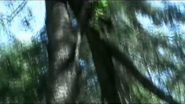 За КАПОМ, СУВЕЛЕМ на самодельном тракторишке