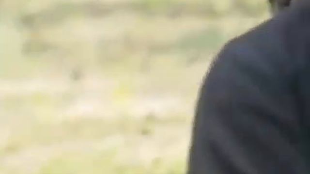 Колокольный звон Грёзы монаха смотреть онлайн