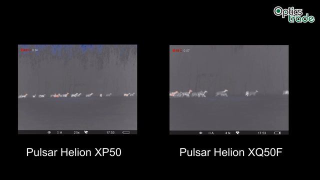 Comparison between Pulsar Helion Thermal monoculars | Optics Trade In The Field смотреть онлайн