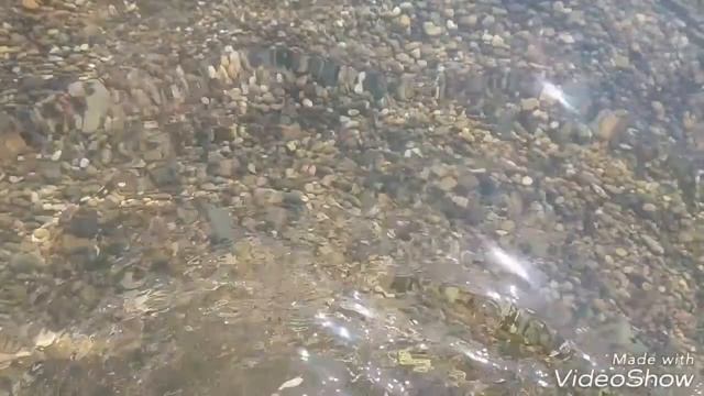 #13 день на Море. Едем в Шепси смотреть онлайн