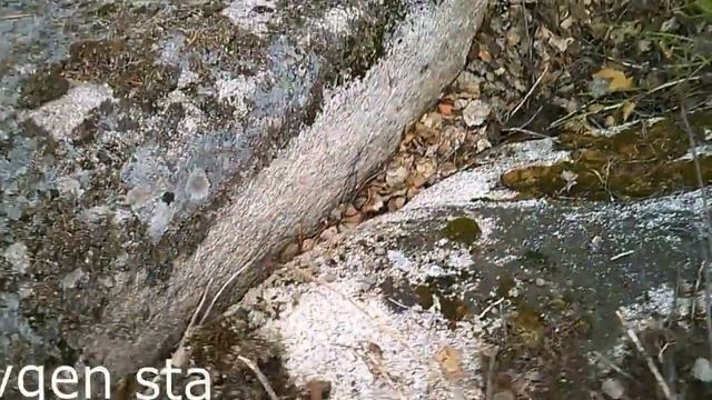 Загадки Уральских гор. Часть 4 смотреть онлайн