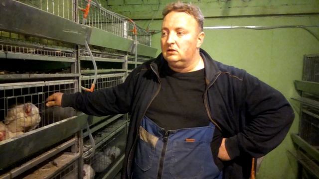 Все о с/х птице ч.12 "породы и кроссы с чего начать" смотреть онлайн