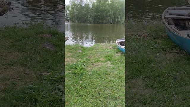 Мереть. 22 июня 2023 года. Летний паводок. смотреть онлайн