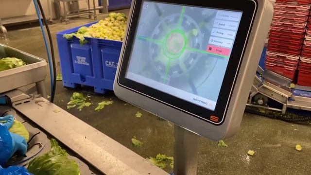 Машина для удаления кочерыжек из салата Айсберг Sormac OptiCor OC-60 смотреть онлайн