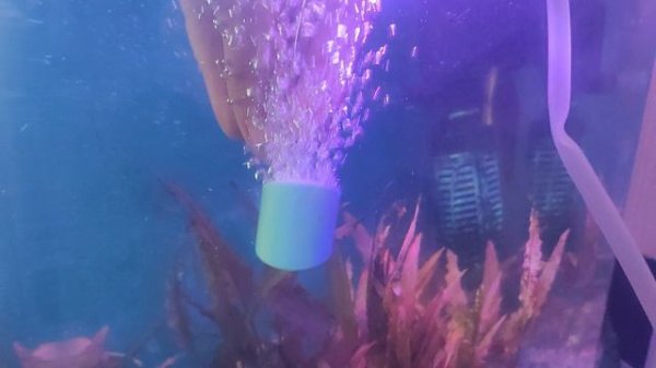 Распылитель для аквариума