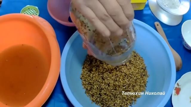 Свой мицелий. От грибов до посевного смотреть онлайн