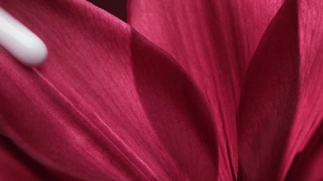 Dior creme riche смотреть онлайн