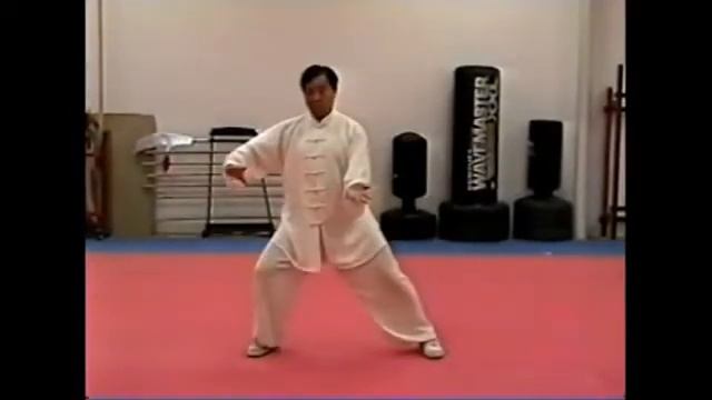 42 Fajing Chen Taiji Master Zhu Tiancai смотреть онлайн