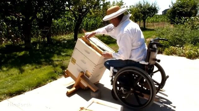 улей для пчел, пчеловодом может стать каждый, и люди с ограниченными возможностями добьются успеха смотреть онлайн