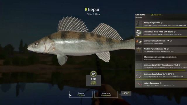 Русская рыбалка 4 (РР4) р. Сура Сазан Стерлядь Налим Берш смотреть онлайн