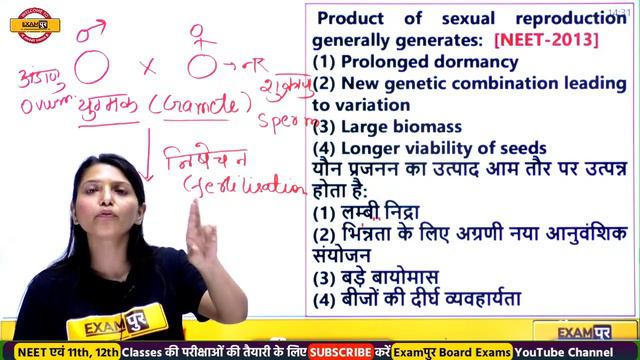 NEET 2023 BIOLOGY PREPARATION | NEET BIOLOGY CLASSES | BIOLOGY FOR NEET 2023 | BY RADHIKA MAM смотреть онлайн