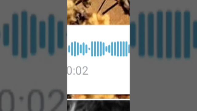 я тебя люблю меме короче, не знаю какое название смотреть онлайн