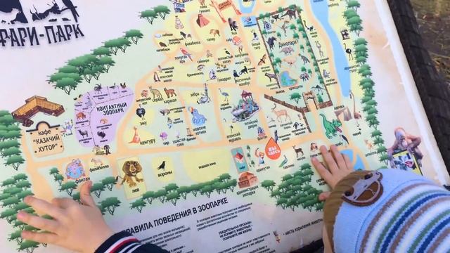 Сафари Парк: много экзотических животных. Обзор для детей смотреть онлайн