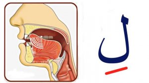 Арабский язык. Урок 5 Махрадж арабских букв.