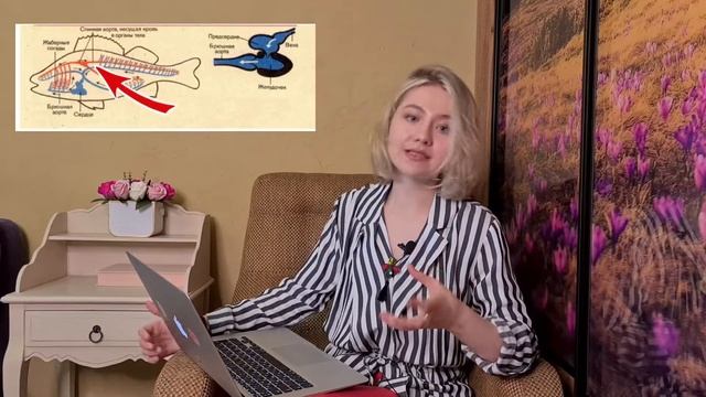 СТРОЕНИЕ РЫБ// ВНЕШНЕЕ И ВНУТРЕННЕЕ смотреть онлайн