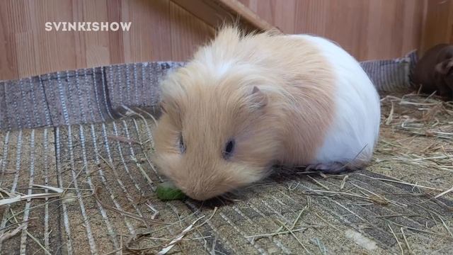 Уборка, вдохновляющая перемену