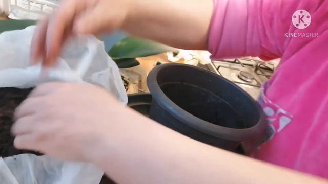 préparation de mes plantes смотреть онлайн