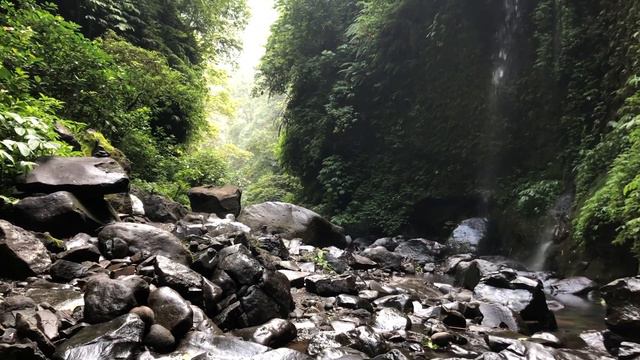 Things to do in North Bali | Sekumpul waterfall, Jatiluwih, Twin lake of bali | Travel along смотреть онлайн