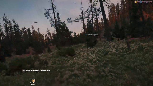 Прохождение Far Cry - New Dawn #11 Бойцовская арена смотреть онлайн