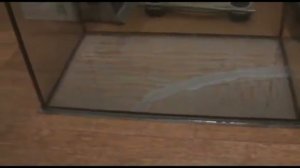 Аквариум (заклеиваем трещину)