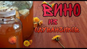 КАК СДЕЛАТЬ ВИНО ИЗ ОДУВАНЧИКОВ | ЗАЧЕМ МЫ СОБРАЛИ ВСЕ ОДУВАНЧИКИ В ОКРУГЕ