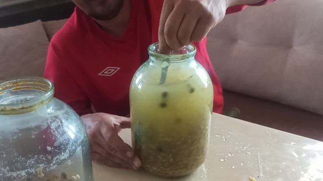 Вегетарианские Блюда и Гастрономия