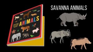 Animals Book Trailer - Farm Animals, Pets, Rainforest Animals and More! - The Kids' Picture Show