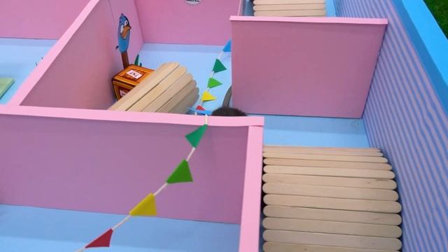 Крыса в Пирамиде лабиринте Злые Птички ? Хомура Хам Питомцы смотреть онлайн