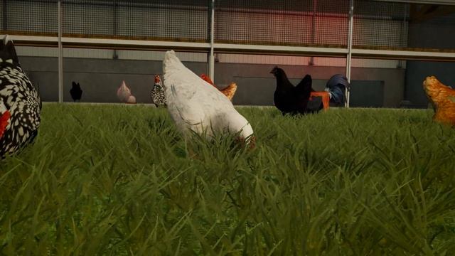 ? Animals & Wildlife in Farming Simulator 22 смотреть онлайн