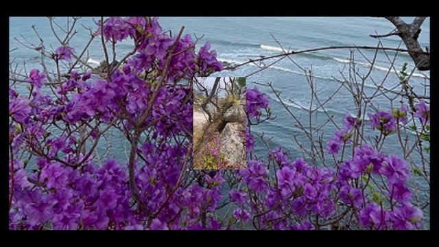 Снова весна смотреть онлайн