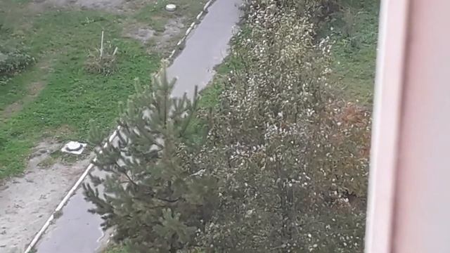 Голубые сороки. "Прилетели, крыльями звеня" в город. смотреть онлайн